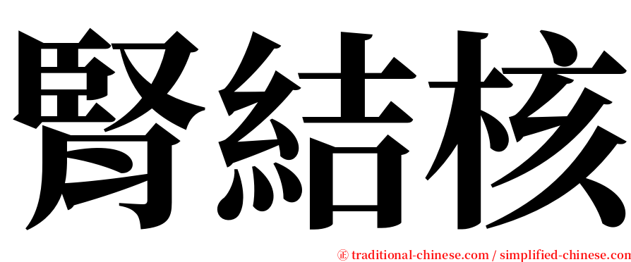 腎結核 serif font