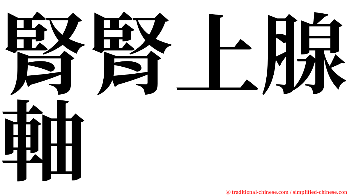 腎腎上腺軸 serif font