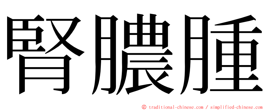 腎膿腫 ming font