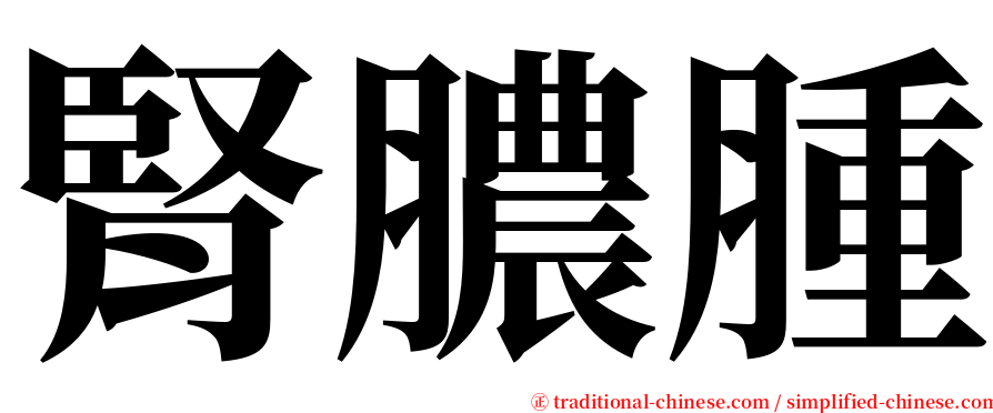 腎膿腫 serif font