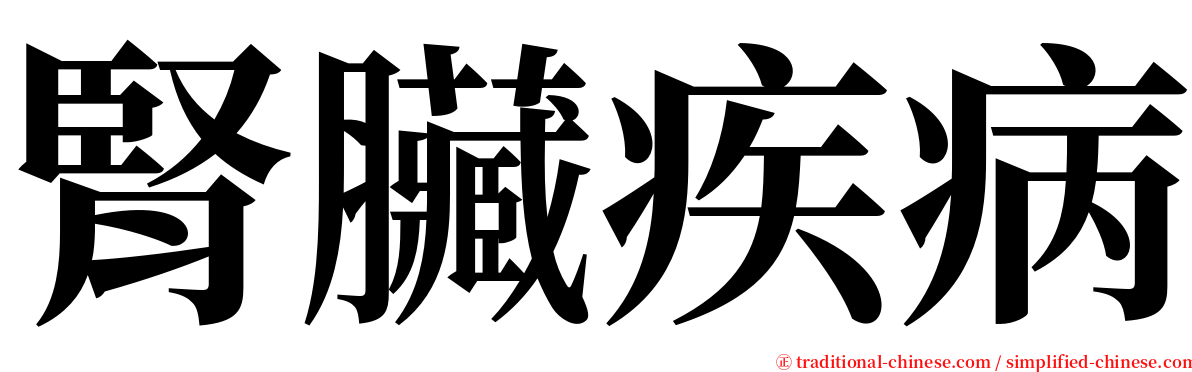 腎臟疾病 serif font