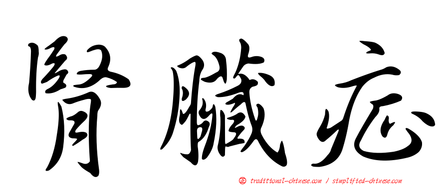 腎臟症