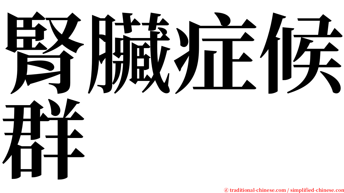 腎臟症候群 serif font