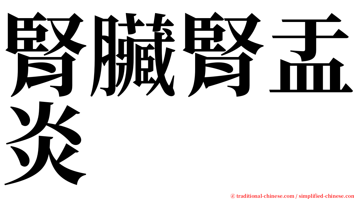 腎臟腎盂炎 serif font