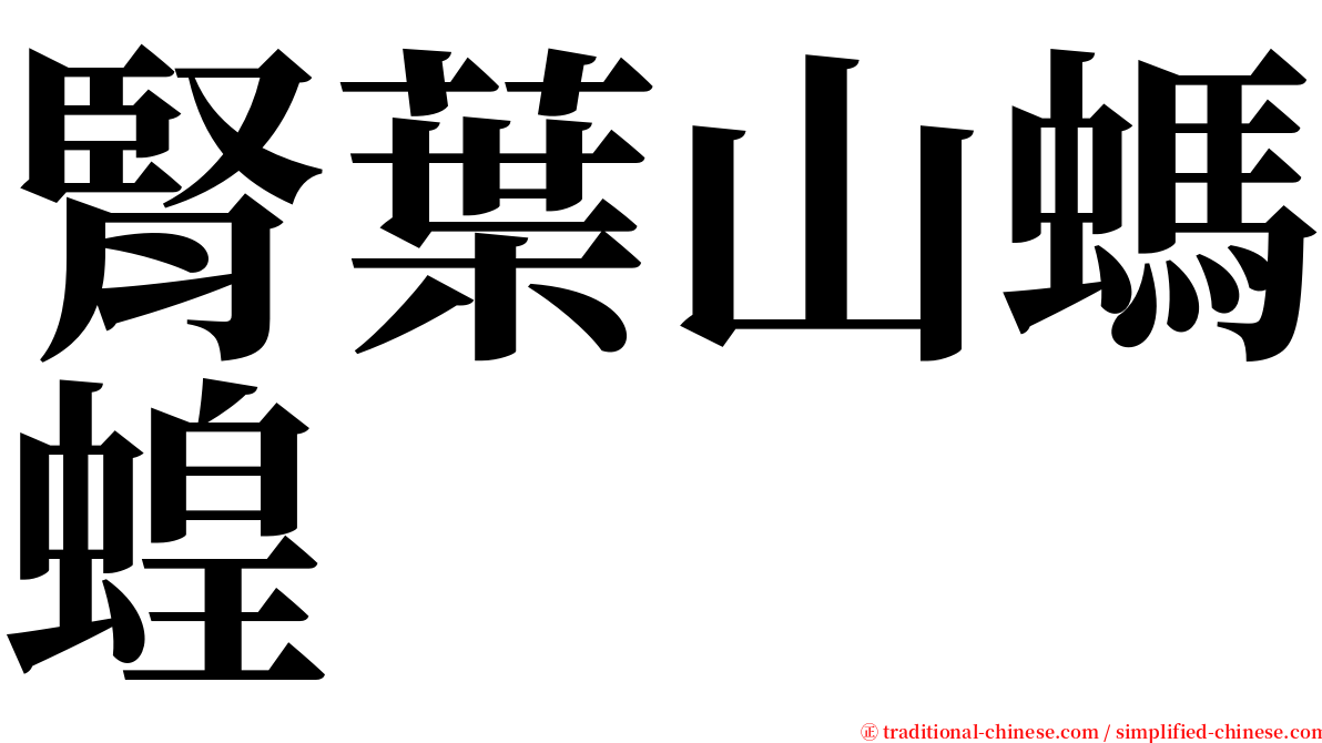 腎葉山螞蝗 serif font