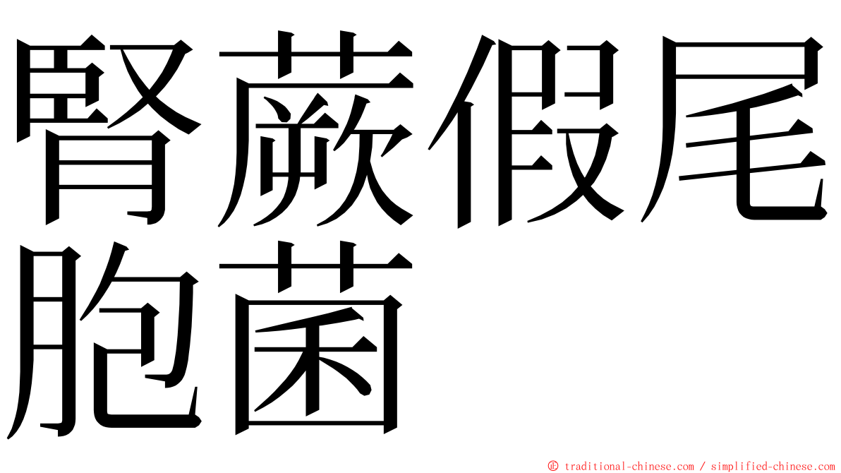 腎蕨假尾胞菌 ming font