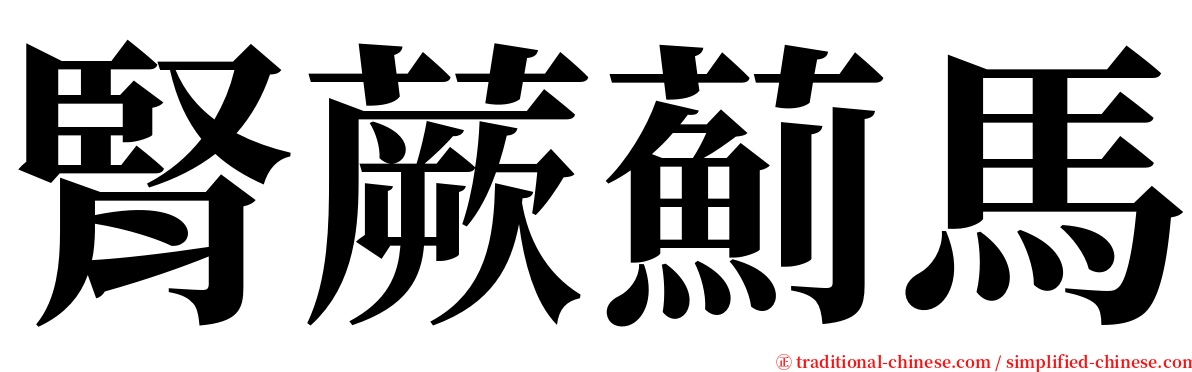 腎蕨薊馬 serif font