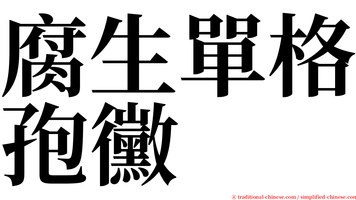 腐生單格孢黴 serif font