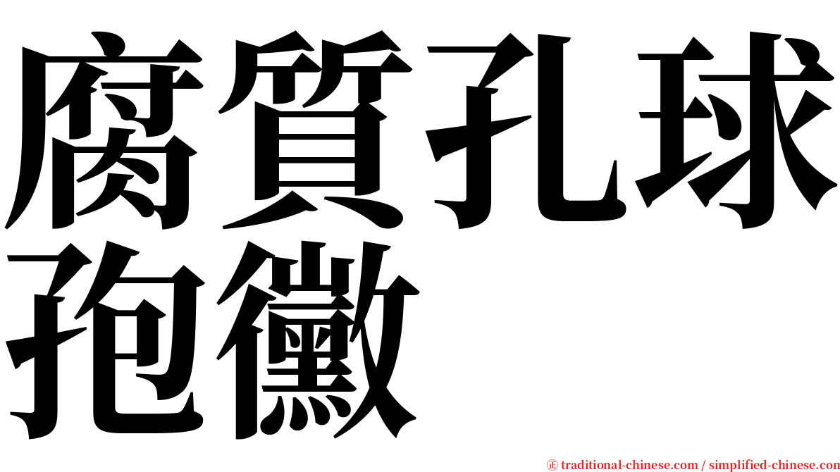 腐質孔球孢黴 serif font