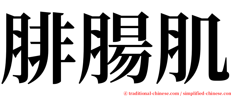 腓腸肌 serif font