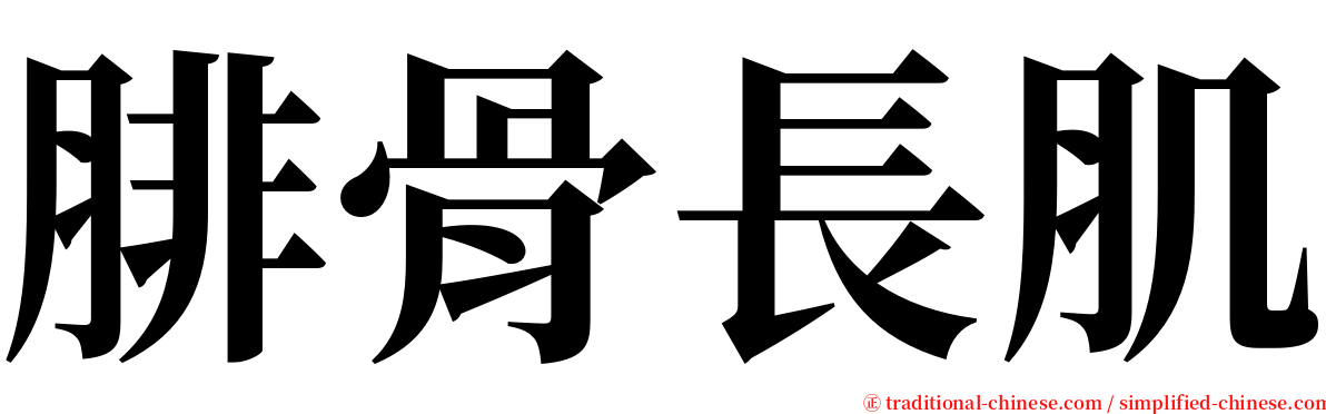 腓骨長肌 serif font