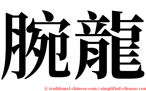 腕龍 serif font