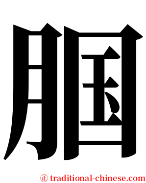 腘 serif font