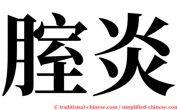 腟炎 serif font