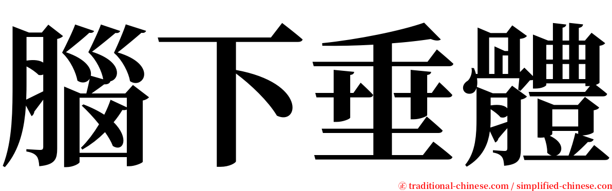 腦下垂體 serif font