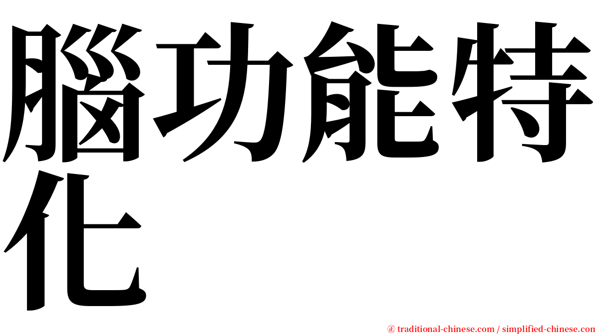 腦功能特化 serif font