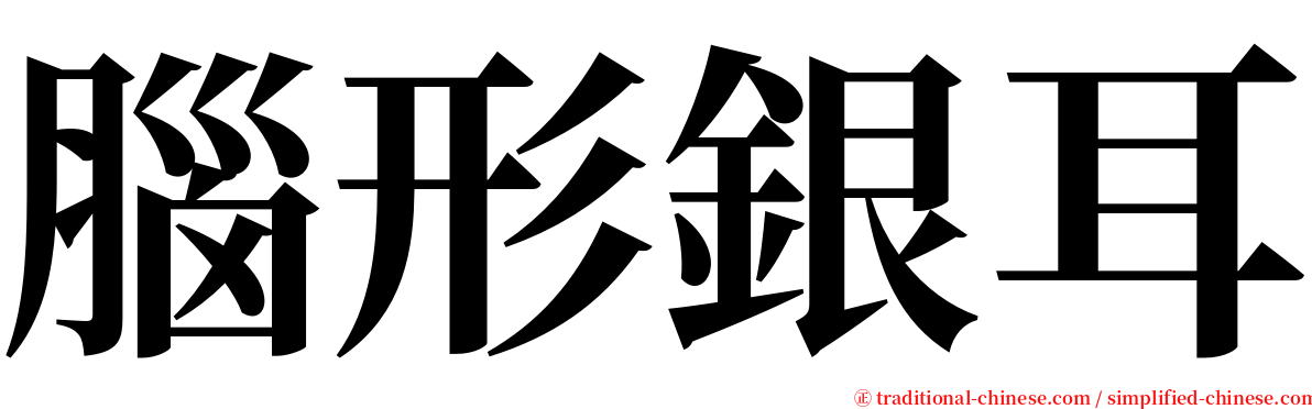 腦形銀耳 serif font