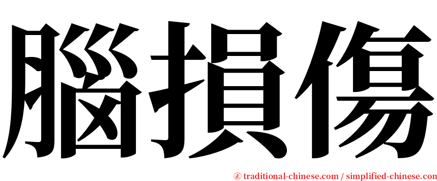 腦損傷 serif font