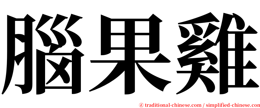 腦果雞 serif font