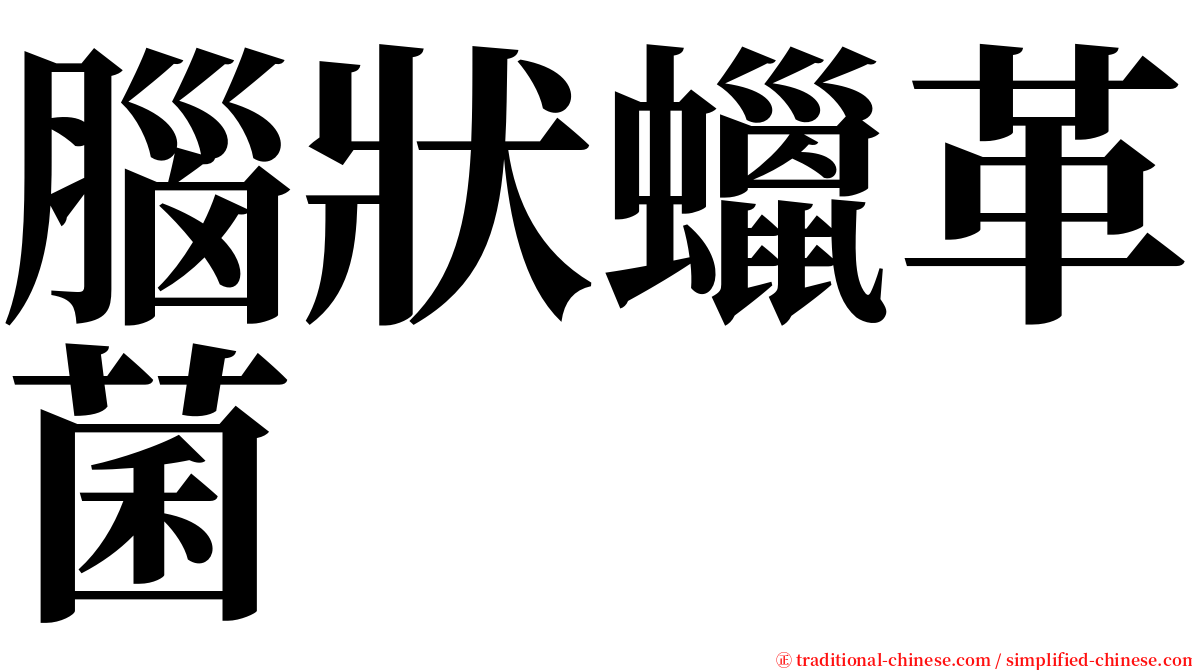腦狀蠟革菌 serif font