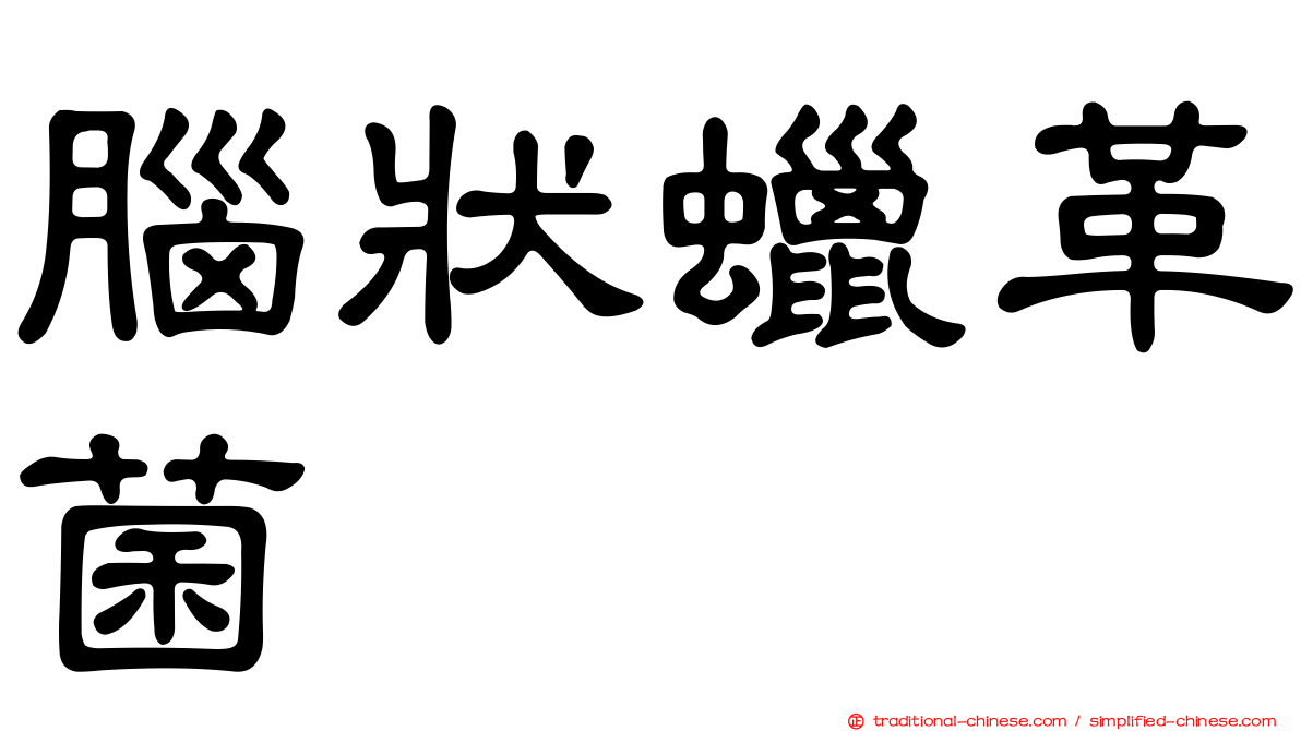 腦狀蠟革菌