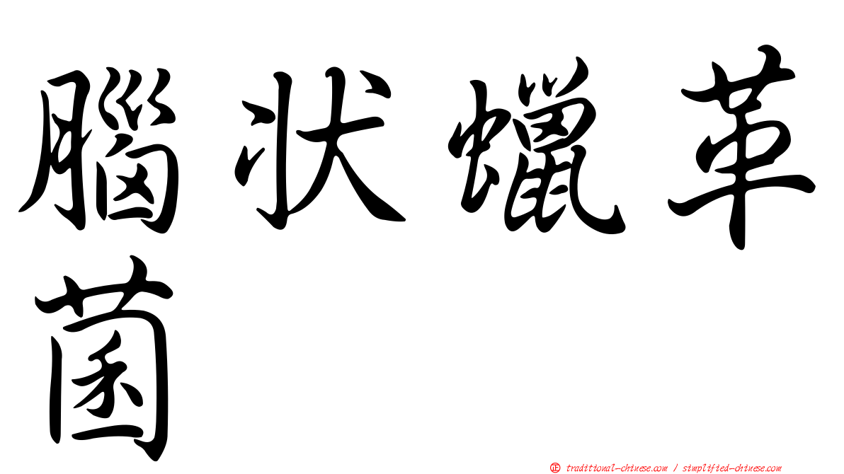 腦狀蠟革菌