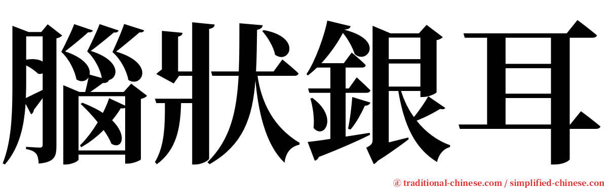 腦狀銀耳 serif font