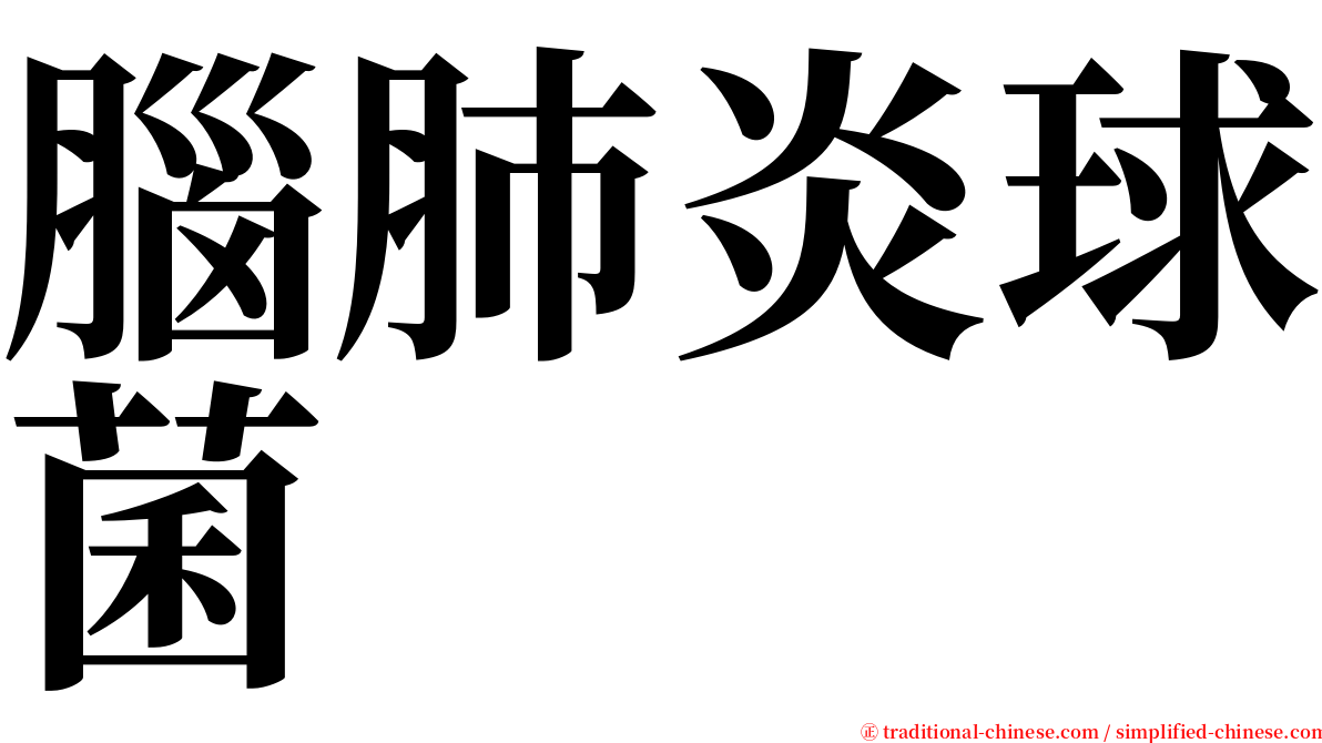 腦肺炎球菌 serif font