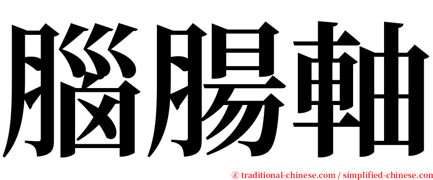 腦腸軸 serif font