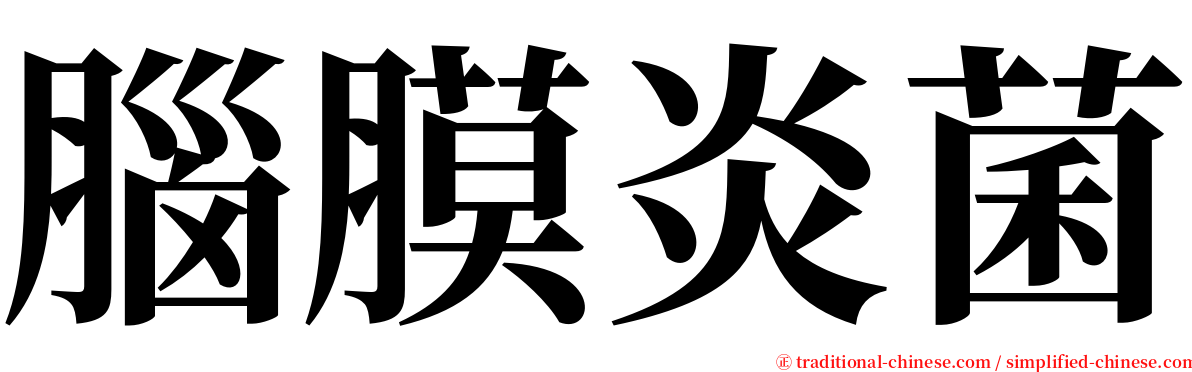 腦膜炎菌 serif font