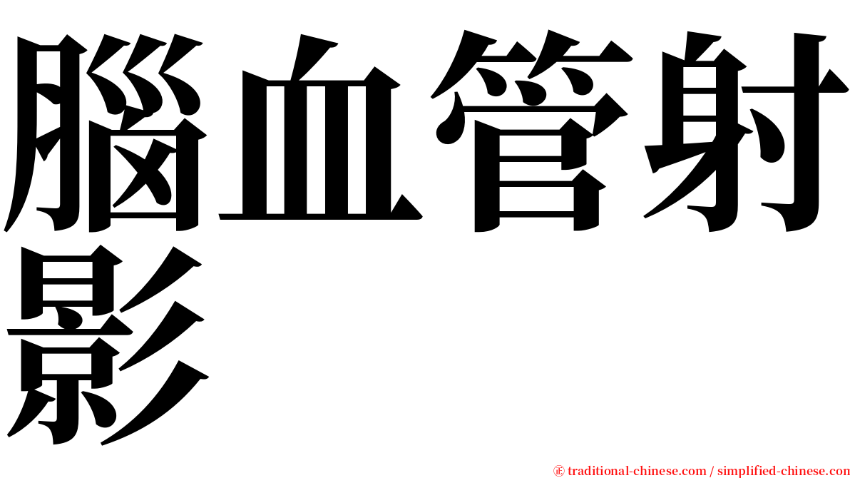 腦血管射影 serif font