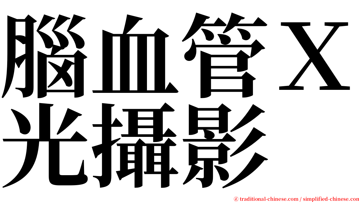 腦血管Ｘ光攝影 serif font