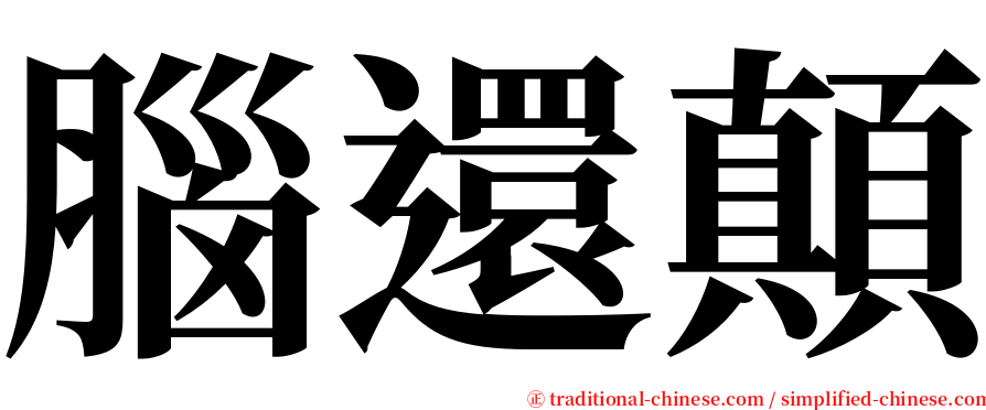 腦還顛 serif font