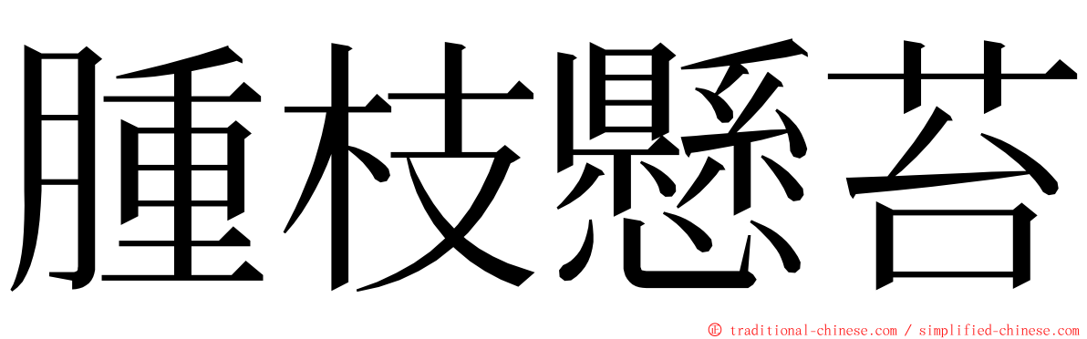 腫枝懸苔 ming font