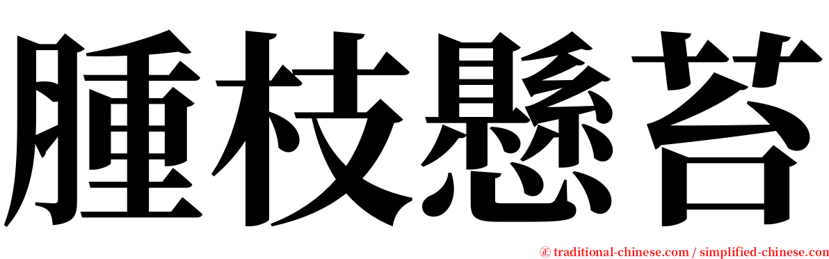 腫枝懸苔 serif font