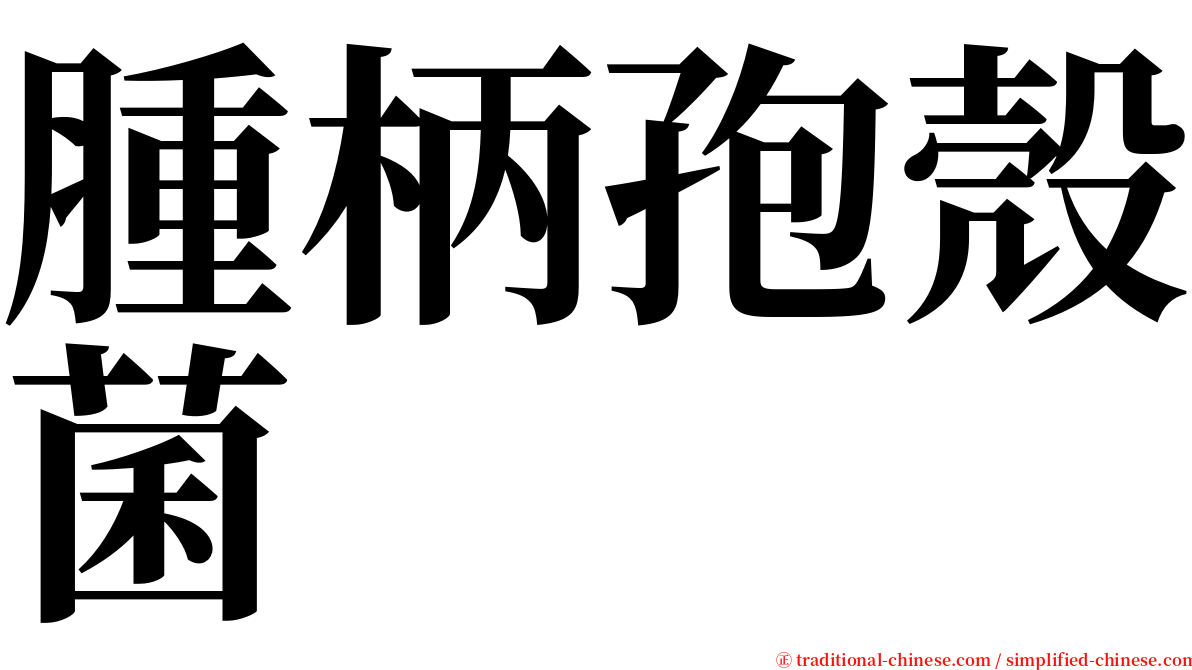 腫柄孢殼菌 serif font