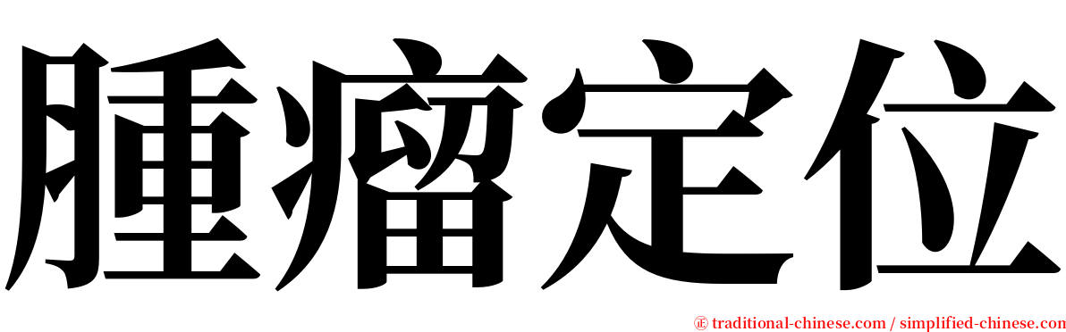 腫瘤定位 serif font