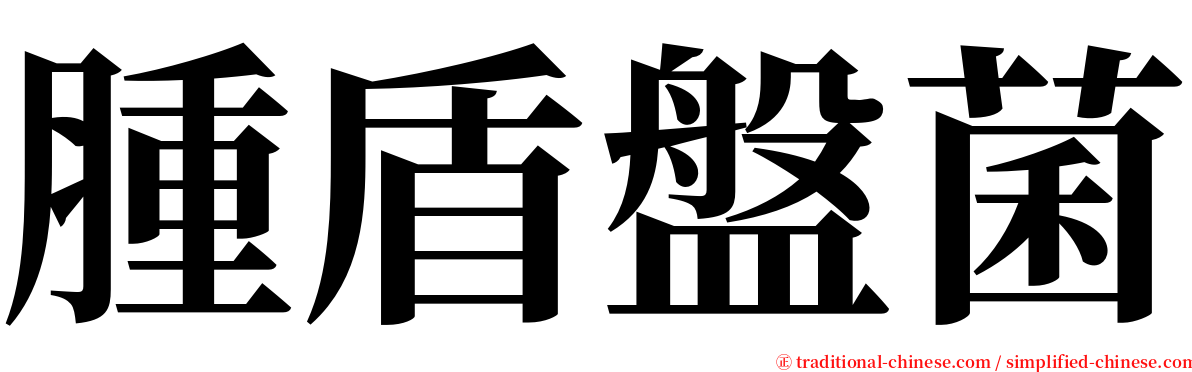 腫盾盤菌 serif font