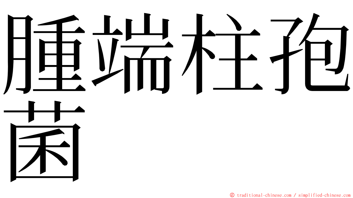 腫端柱孢菌 ming font