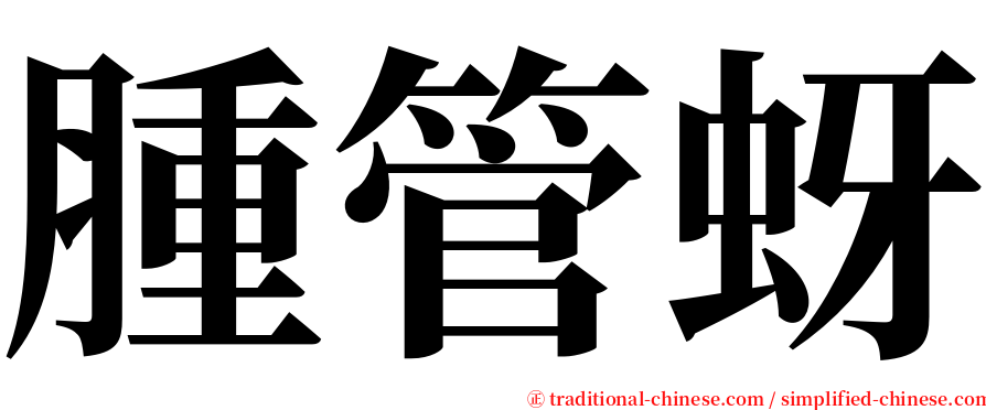 腫管蚜 serif font