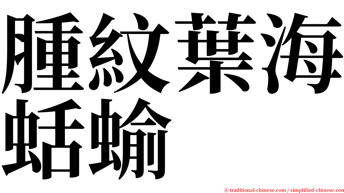 腫紋葉海蛞蝓 serif font