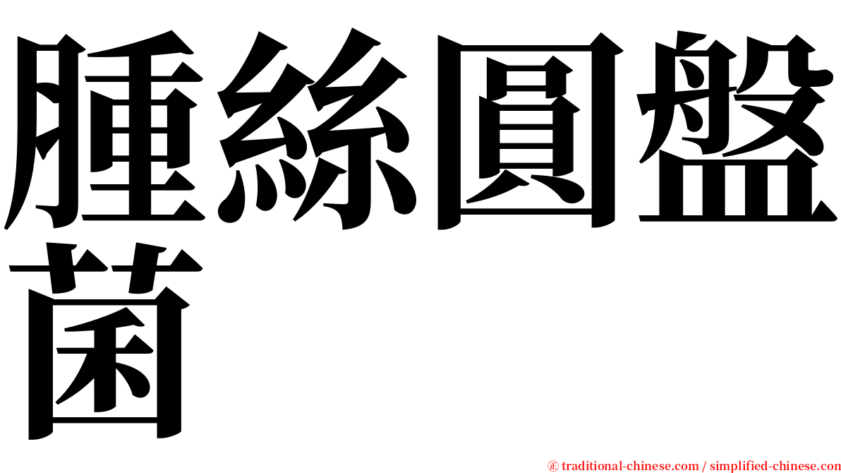 腫絲圓盤菌 serif font