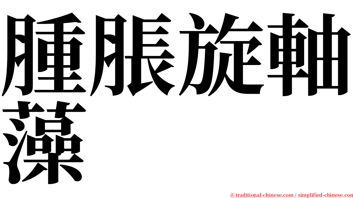 腫脹旋軸藻 serif font