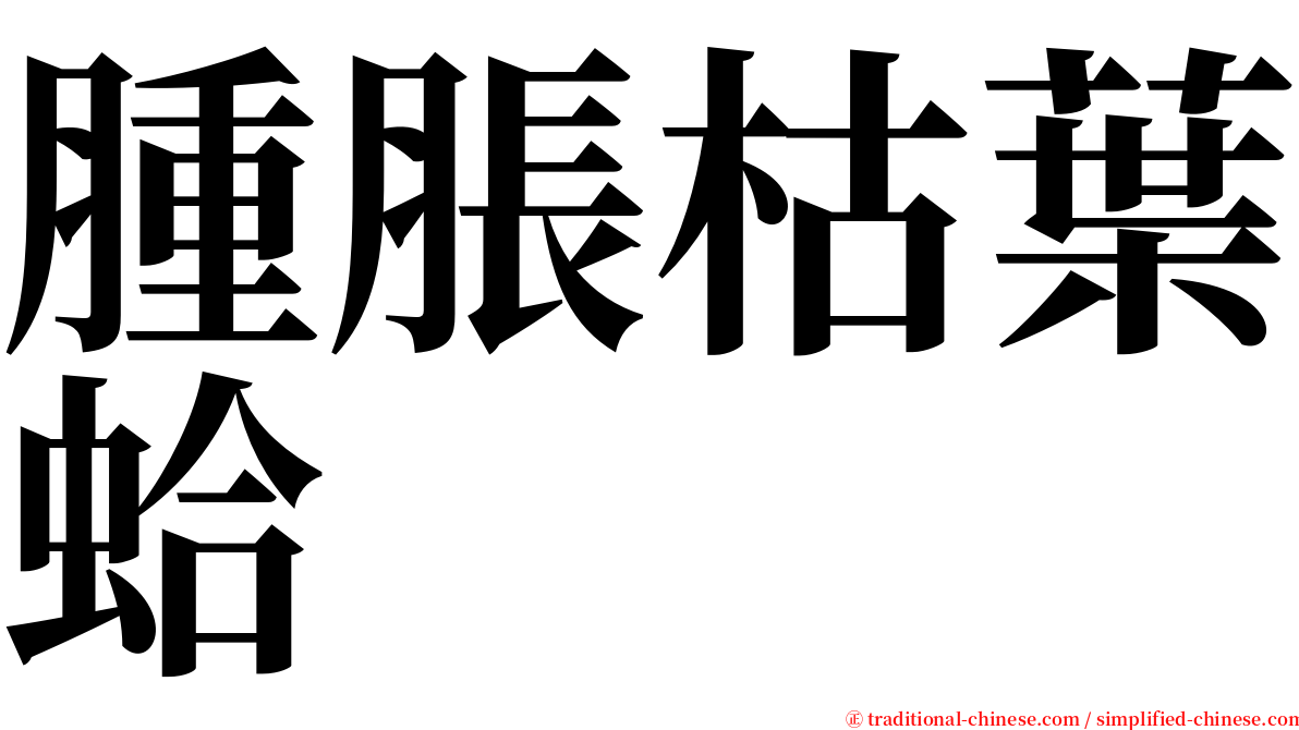 腫脹枯葉蛤 serif font