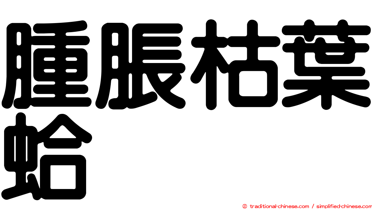 腫脹枯葉蛤