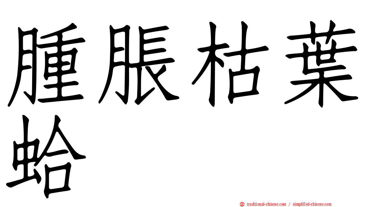 腫脹枯葉蛤