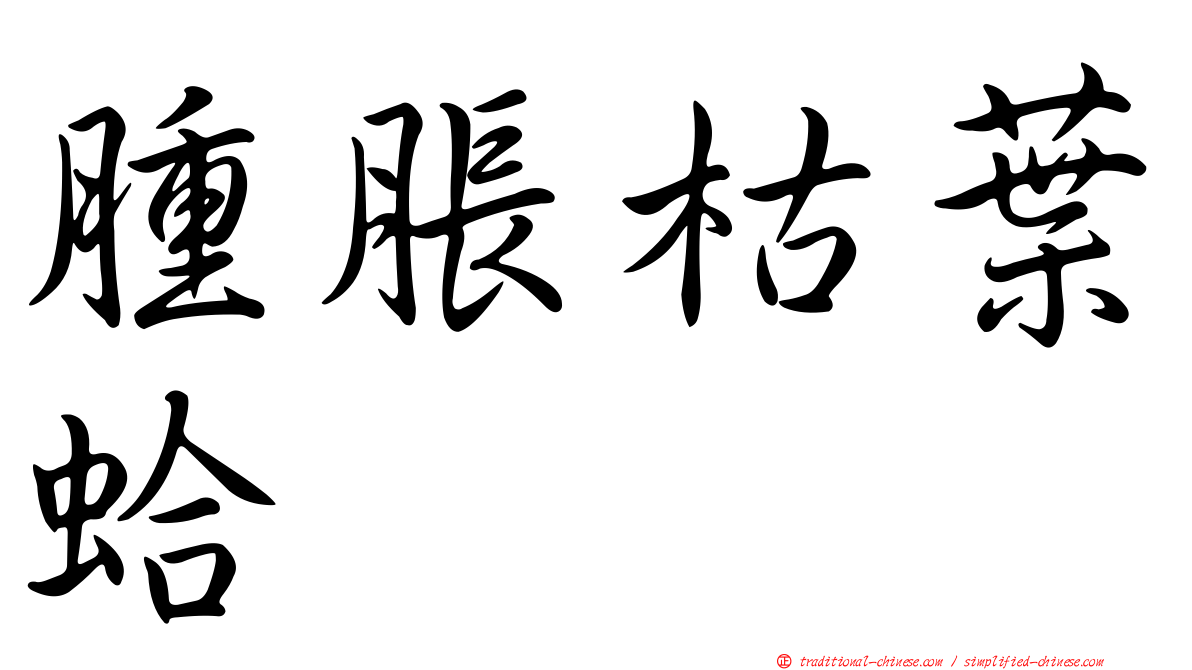 腫脹枯葉蛤