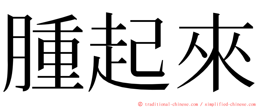 腫起來 ming font