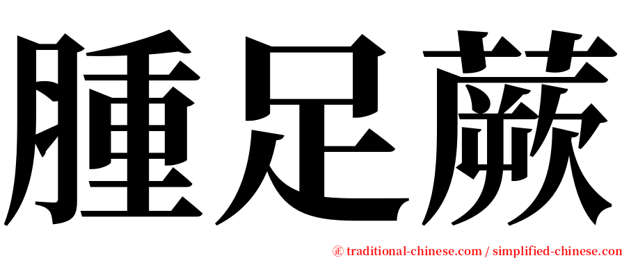 腫足蕨 serif font