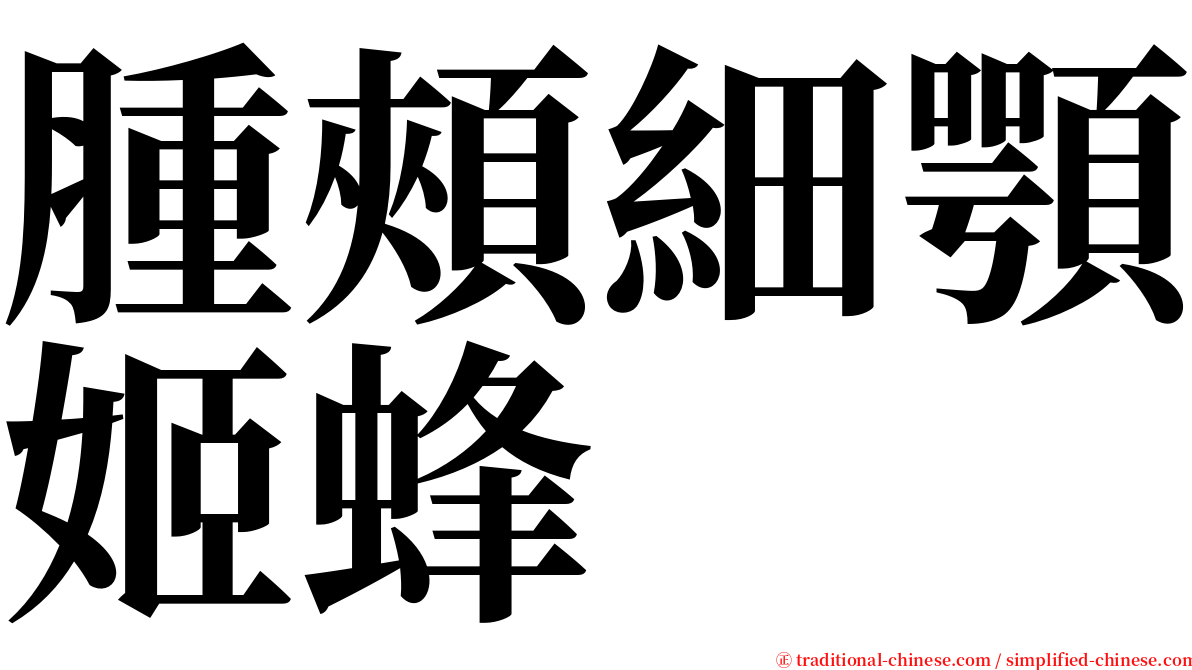 腫頰細顎姬蜂 serif font